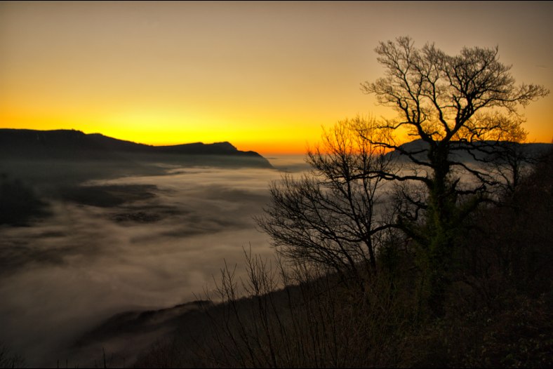 Fog at dawn